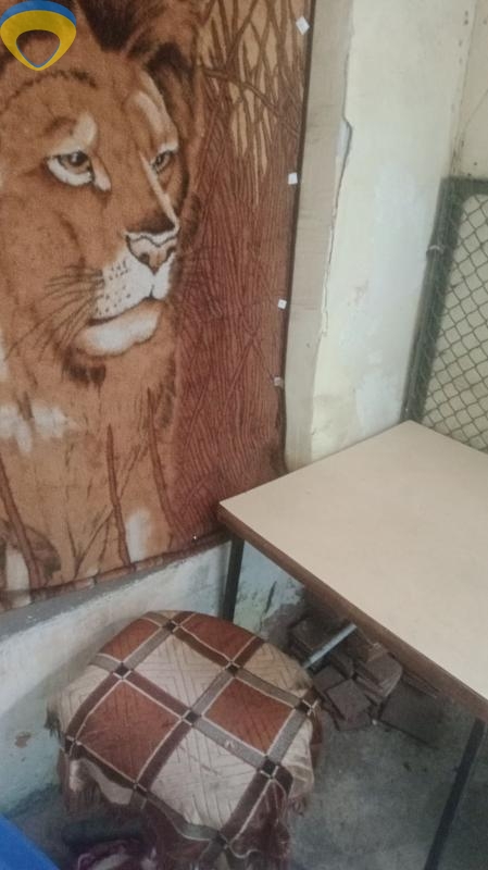 продажа двухкомнатной квартиры номер A-174281 в Приморском районе, фото номер 6